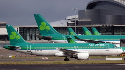 Des avions de la compagnie Aer Lingus à l'aéroport de Dublin (Irlande), le 27 janvier 2015. (PAUL FAITH / AFP)