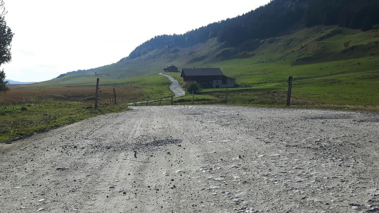 Tour De France 2018 La Terre Du Plateau Des Glieres Pour Allier Histoire Et Efforts