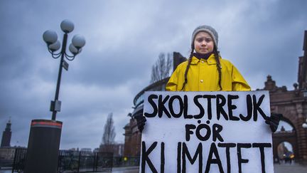 Greta Thunberg, le 30 novembre 2018, devant le parlement suédois. (HANNA FRANZEN / TT NEWS AGENCY)