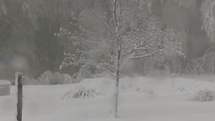 Mercredi 15 mai, de la neige a été observée en Corse, dès 900 mètres d'altitude. (FRANCE 2)