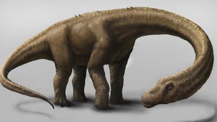 Croquis du Dreadnoughtus schrani, pr&eacute;sent&eacute; le 4 septembre 2014. (MARK A. KLINGER / CARNEGIE MUSEUM OF NATURAL HISTORY / AFP)