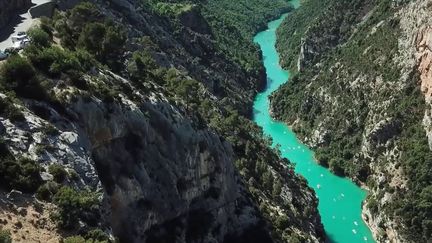 Les gorges du Verdon sont appréciées pour le canyoning ou pour leurs rapides, mais elles sont aussi l'habitat naturel de poissons à protéger.