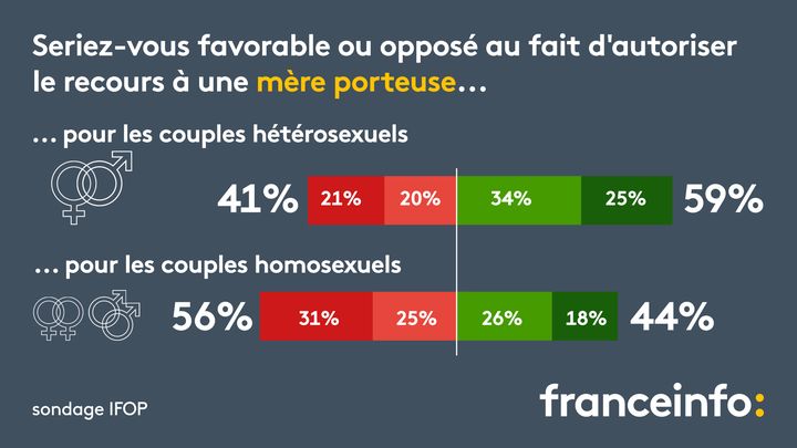 Selon un sondage Ifop, les Français sont "majoritairement" favorables à la légalisation de la gestation pour autrui (GPA). (FRANCEINFO)