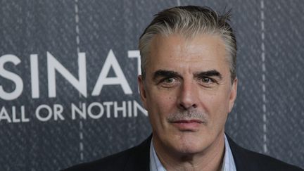 Chris Noth à New-York (Etats-Unis), le 31 mars 2015. (MAXPPP)