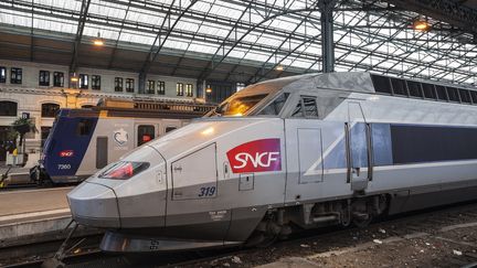 Un TGV en gare de Tours (Indre-et-Loire). (JULIAN ELLIOTT / ROBERT HARDING HERITAGE / AFP)