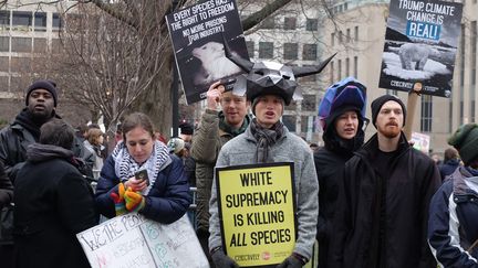 Des manifestants anti-Trump, dans les rues de Washington, DC, vendredi 20 janvier 2017.&nbsp; (MARIE-ADELAIDE SCIGACZ / FRANCEINFO)