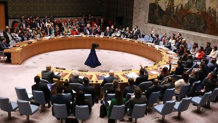 Conseil de sécurité de l'ONU, le 22 décembre 2023 (XIE E / XINHUA)