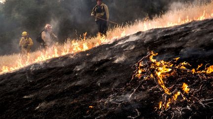 Les pompiers travaillent &agrave; une digue dans le comt&eacute; de Lake, le 30 juillet 2015, en Californie. (MAX WHITTAKER / REUTERS)