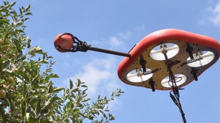 Tevel Aerobotics Technologies est spécialisée dans les robots volants de cueillette de fruits. (TEVEL AEROBOTICS TECHNOLOGIES)