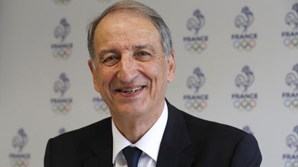 Denis Masseglia, le président du Comité national olympique et sportif français, le 11 mai 2017 à Paris. (FRANCOIS GUILLOT / AFP)