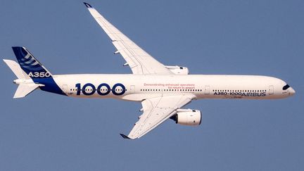 Un Airbus A350-1000 lors du salon aéronautique de Dubaï 2023, à l'aéroport international Dubaï, le 14 novembre 2023. (KARIM SAHIB / AFP)