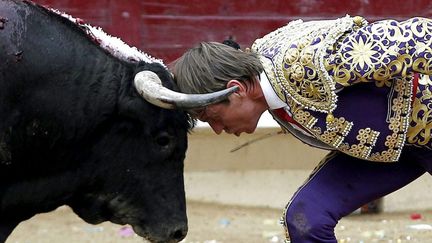 Le matador espagnol Manuel Diaz Gonzales "El Cordobes" d&eacute;fie un taureau lors d'une corrida &agrave; Tafalla (Espagne), le 19 ao&ucirc;t 2012. (JESUS DIGES / EPA / MAXPPP)