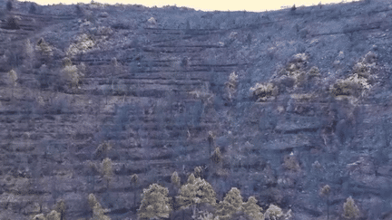 L’incendie à Cerbère, dans les Pyrénées-Orientales, a été maîtrisé lundi 17 avril. Près de 1 000 hectares sont partis en fumée. Les pompiers maintiennent une surveillance sur le terrain. (FRANCE 2)