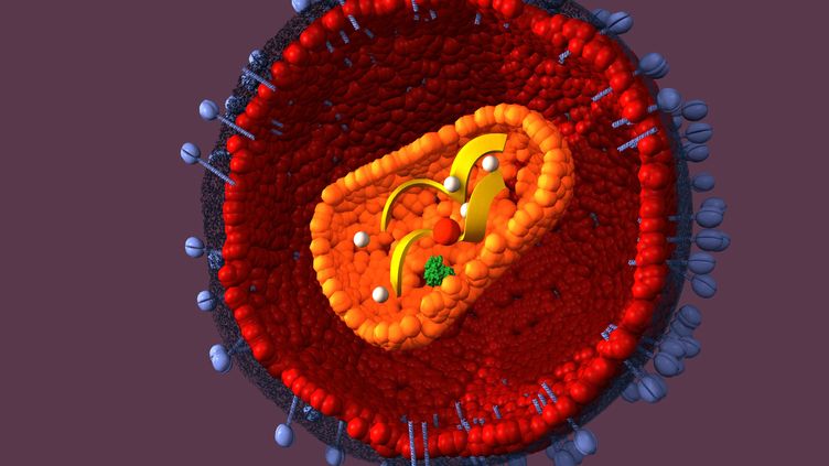 Sida Pourquoi La Contamination Par Le Vih Continue En France