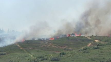 Incendies dans l’Hérault : la piste criminelle explorée