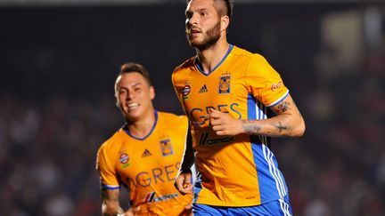 André-Pierre Gignac (Tigres) (MARIA CALLS / AFP)