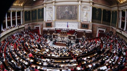 L'h&eacute;micycle de l'Assembl&eacute;e nationale le 11 juillet 2012. (PIERRE VERDY / AFP)