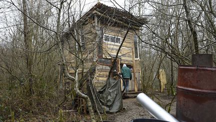 Une cabane construite par des opposants au projet de centre de stockage de déchets nucléaires, dans le Bois Lejuc à Bure (Meuse), le 22 février 2017. (JEAN CHRISTOPHE VERHAEGEN / AFP)