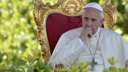 Le Pape François le 5 juillet 2014 à Castelpetroso (Italie)
 (ANDREAS SOLARO / AFP)