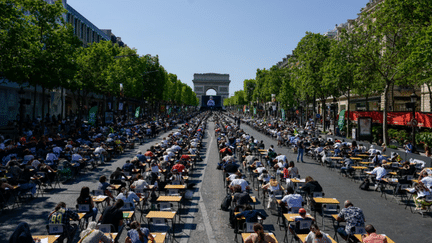 Photo officielle de la plus grande dictée du monde le 4 juin 2023 sur l'avenue des Champs Elyzée à Paris (Tous droits réservés)