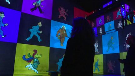 Culture&nbsp;: une immersion dans les aventures de Tintin (France 2)