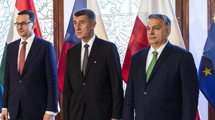 Le Premier ministre polonais&nbsp;Mateusz Morawiecki et ses homologues tchèque&nbsp;Andrej Babis et hongrois&nbsp;Viktor Orban, le 4 mars 2020 à Prague. (MICHAL CIZEK / AFP)