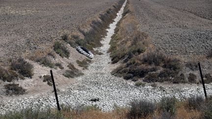 Crop fields, in Doñana National Park, southern Spain.  In May 2023, water reserves fell to around 25% in the two most affected regions: Andalusia in the south and Catalonia in the northeast.  (CRISTINA QUICLER / AFP)