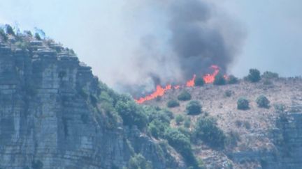 Déjà près d’un milliard d’hectares de terrain ont été ravagés en quelques heures seulement. Plusieurs départs de feu successifs se sont déclenchés en Ardèche, mercredi 27 juillet. D’importants moyens ont été déployés sur place. (FRANCE 2)