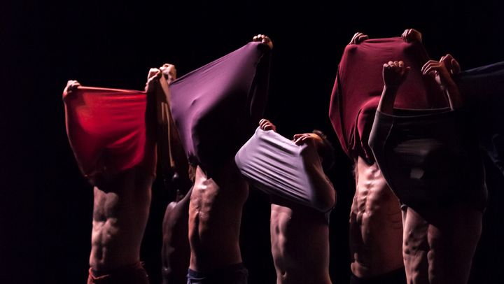 Lors du spectacle de Fouad Boussouf, "Näss", les danseurs, collés les uns aux autres, ont formé une forme similaire à une algue géante.&nbsp; (Charlotte Audureau)