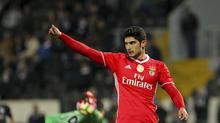 Gonçalo Guedes, la nouvelle doublure de Cavani (DPI / NURPHOTO)