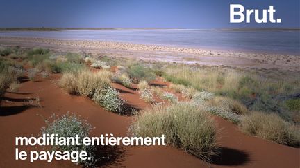 Cités englouties, zones désertées, lacs au milieu de déserts... C'est ce à quoi pourrait ressembler la Terre quand la glace aura fondu.