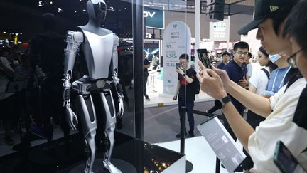 Les grands défis technologiques : les robots humanoïdes, nos meilleurs ennemis