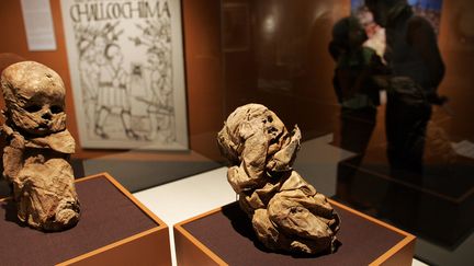 Momies de la civilisation des Chachapoyas, exposées au musée de Lima, au Pérou (7 janvier 2007)
 (Eitan Abramovich / AFP)