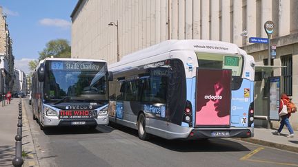 Des bus près du jardin des Plantes à Paris, le 19 avril 2023. (BLANCHOT PHILIPPE / HEMIS.FR / AFP)