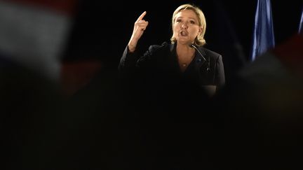 Marine Le Pen, en meeting à Mirande (Gers), le 9 mars 2017. (PASCAL PAVANI / AFP)