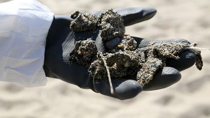 Des galettes d'hydrocarburesont été ramassées sur le littoral.&nbsp; (PASCAL POCHARD-CASABIANCA / AFP)