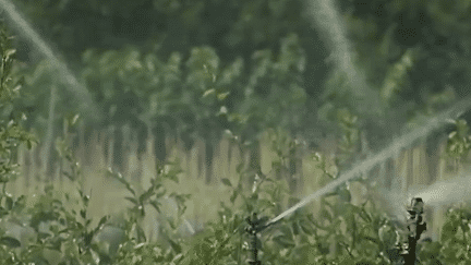 Sécheresse : première restriction d'eau en Saône-et-Loire