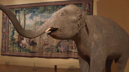 Les animaux du roi : l'exposition à découvrir au château de Versailles&nbsp; (France 3)