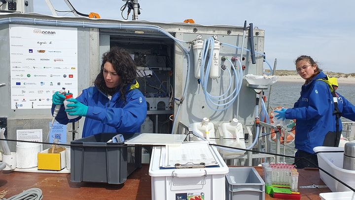 Une session de prélèvement à bord du voilier scientifique le Tara. (BORIS HALLIER / RADIO FRANCE)