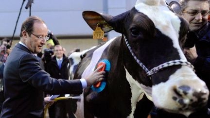 François Hollande au cul des vaches (FRED DUFOUR / POOL / AFP)