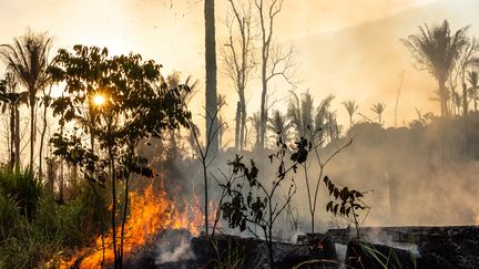 La forêt amazonienne en feu, dans la région de Para, au Brésil, le 28 août 2019. Le mois d'août 2019 a été le plus destructeur des neuf dernières années. (GUSTAVO BASSO / NURPHOTO / AFP)