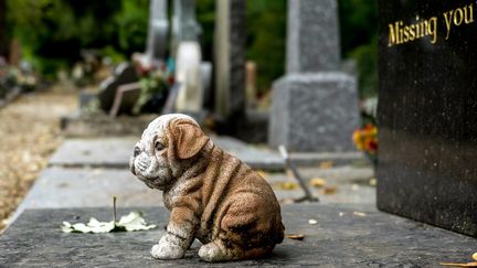 Cimetière des chiens, à Asnières-sur-Seine (92). (photo d'illustration) (BRUNO LEVESQUE / MAXPPP)