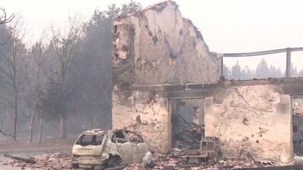 L'incendie dévastateur en Gironde et dans les Landes a contraint plus de 10 000 habitants à quitter leur logement en urgence, mercredi 10 août. Déjà 16 maisons sont parties en fumée. (FRANCEINFO)