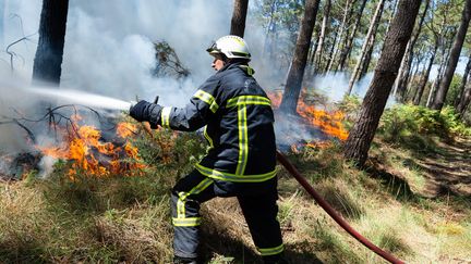 Une&nbsp;trentaines d'incendies ont touché le département du Morbihan le week-end dernier.&nbsp; (MATHIEU PATTIER / OUEST FRANCE / MAXPPP)