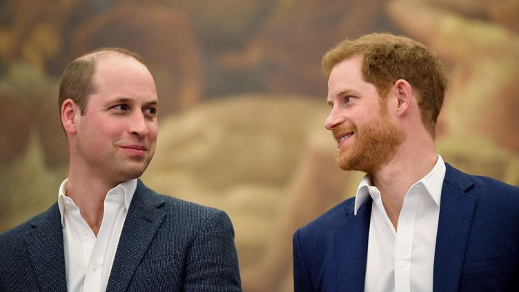 Royaume-Uni : Les Princes William Et Harry Dénoncent Une "fausse ...