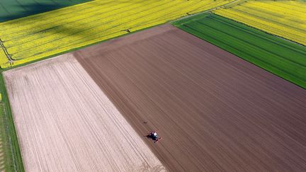 Une exploitation agricole, à Bergheim (Haut-Rhin), le 20 avril 2016.&nbsp; (HENNING KAISER / DPA / AFP)