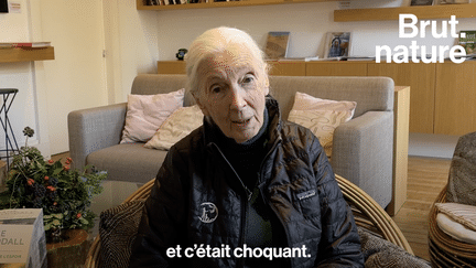 “Quand je suis arrivée à cette conférence, j'étais une scientifique. Quand j'en suis sortie, j'étais une activiste”. Primatologue respectée et défenseuse de l’environnement, Jane Goodall revient sur le jour qui a transformé sa vie à jamais. (Brut.)