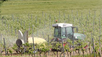 Un viticulteur traite ses vignes avec des produits phytosanitaires, le 24 mai 2016. (Photo d'illustration) (MAXPPP)