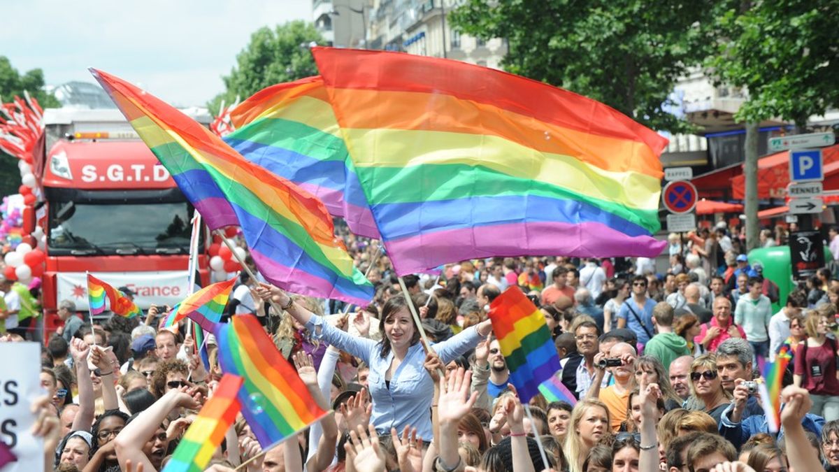 Marche des fiertés : pourquoi tous ces drapeaux ? - Le Parisien