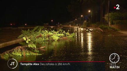 Des dégàts provoqués par la Tempête Alex. (France 2)